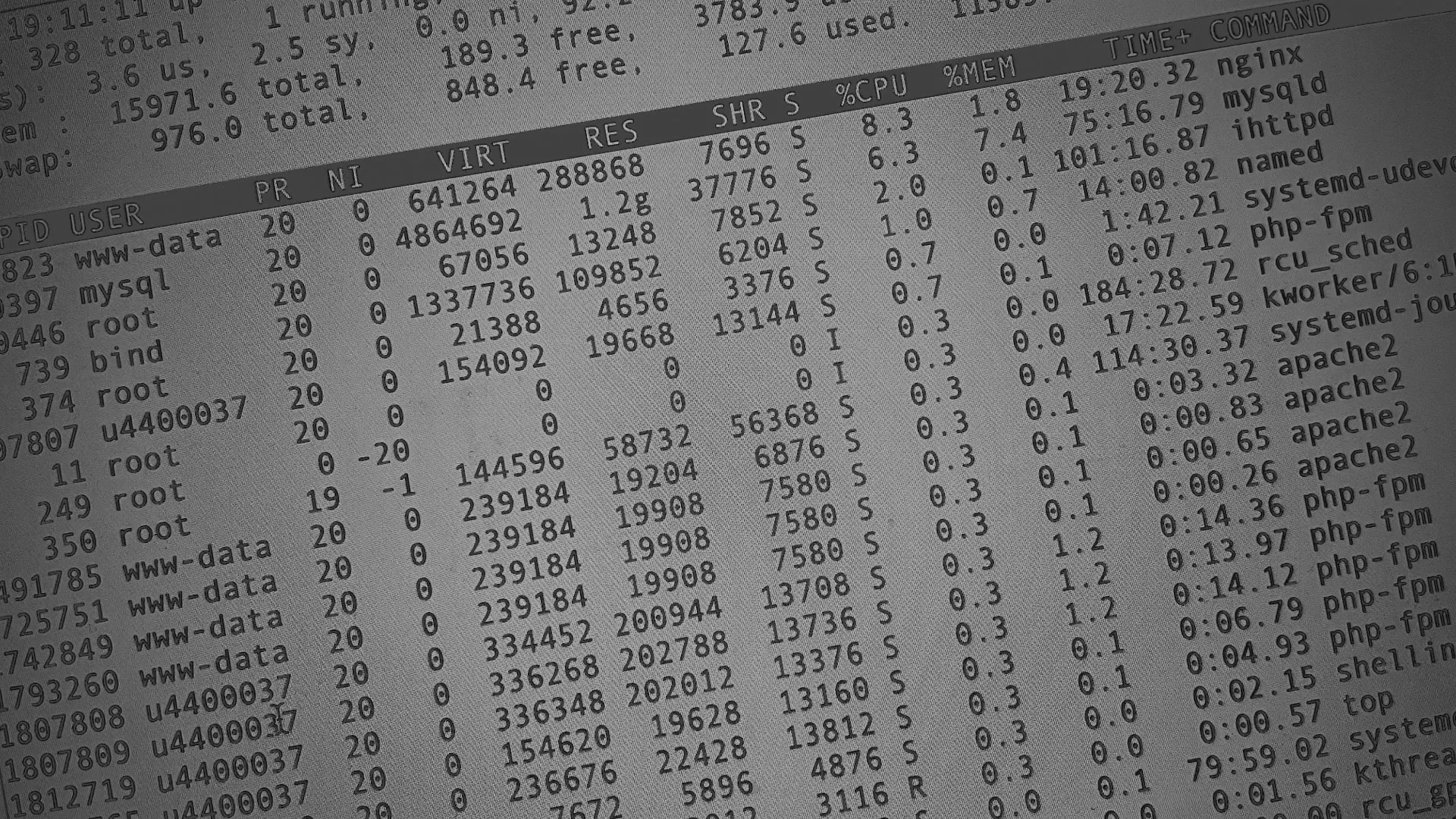 Настройка сервера в Янауле