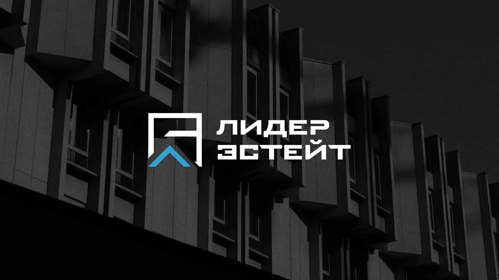 Разработка логотипа агентства недвижимости «Лидер Эстейт» в Янауле